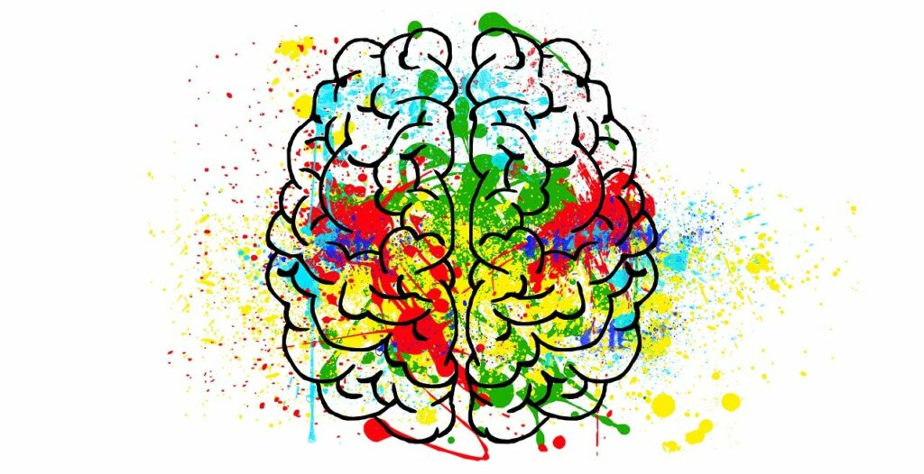 lidský barevný mozek